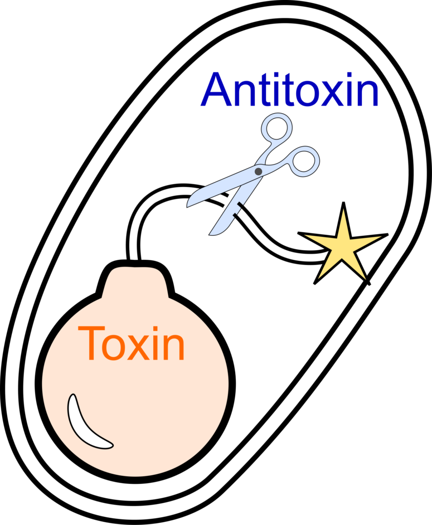 Research Le Rhun Lab